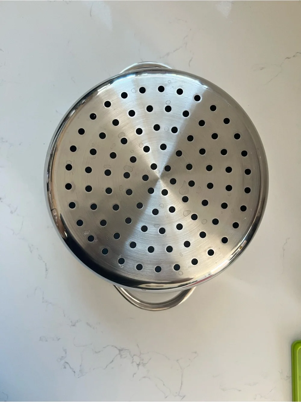 Caraway stainless steel insert/strainer